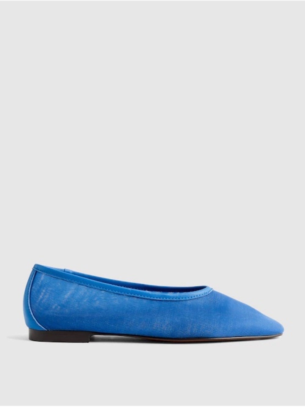 Madewell Mesh Blue Toe Ballet Flat